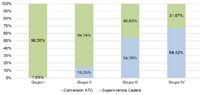 Gráfico 4. Supervivencia según grupo de fijación